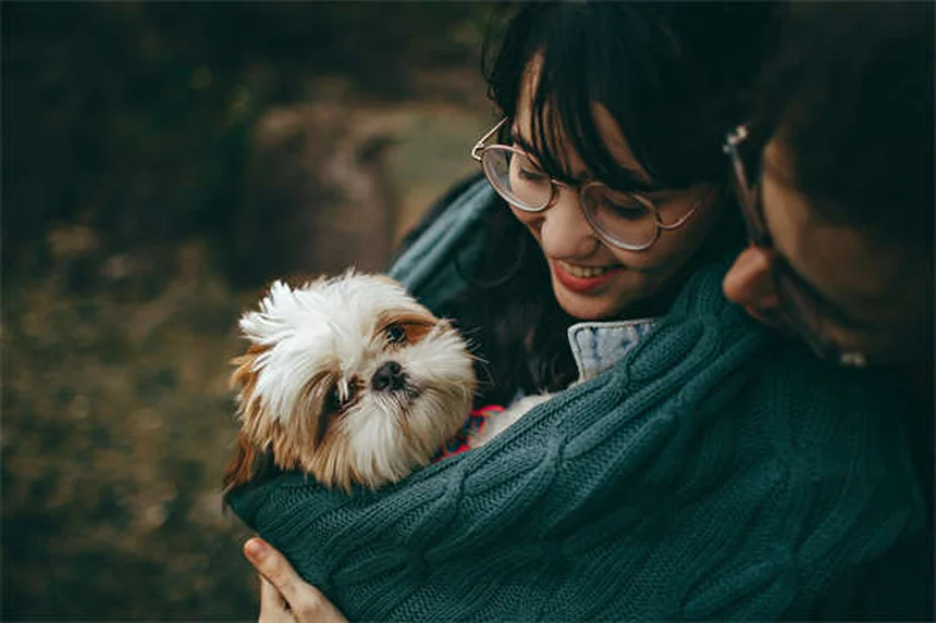 子犬がクレートで鳴く理由と対処法｜プロが教える7つの解決策